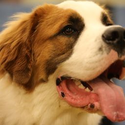 photograph by PeterW